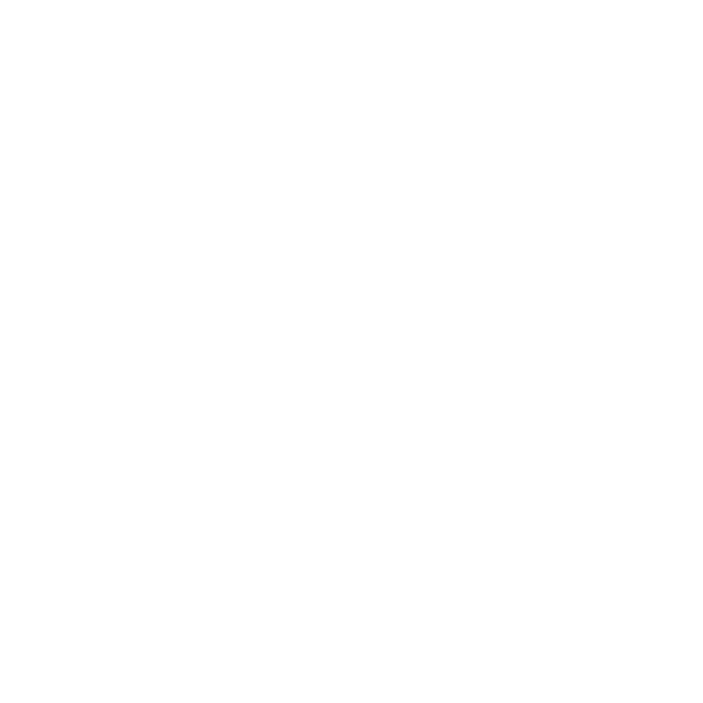 Search Engine Optimization (SEO)