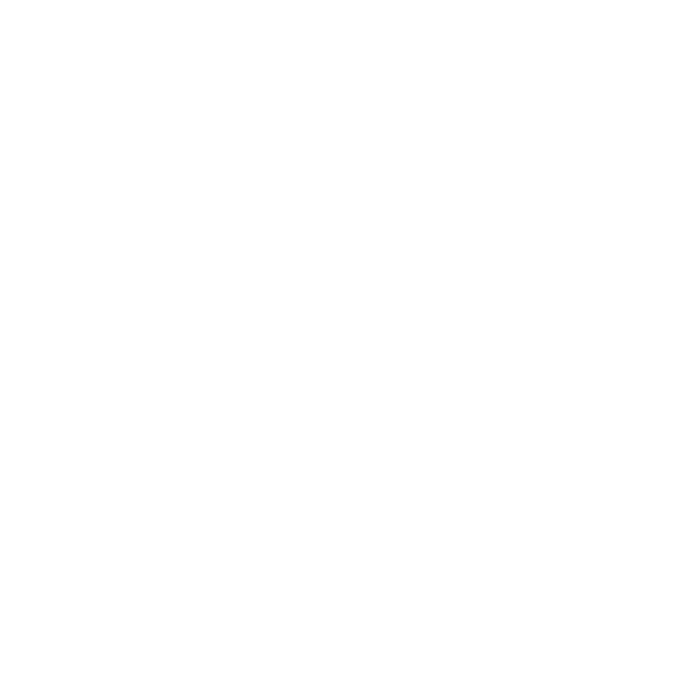 Pay-Per-Click (PPC) Advertising